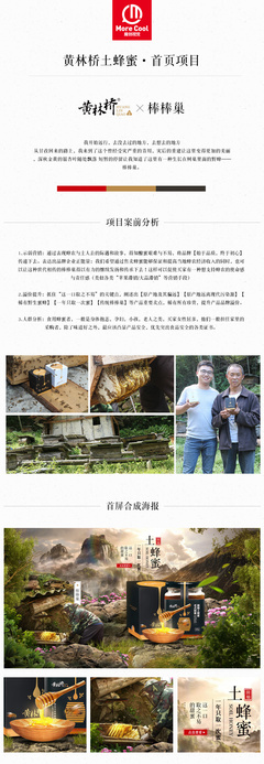 黄林桥土蜂蜜项目 茶叶食品 农副产品 专题页策划